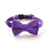 猫用首輪 ネコ用 ペット用品 | PlusNao | 詳細画像7 