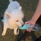 ペット用給水器 ウォーターボトル ストラップ付き | PlusNao | 詳細画像2 