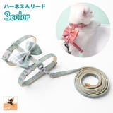 猫用ハーネス リード 2点セット | PlusNao | 詳細画像1 
