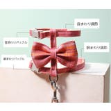 猫用ハーネス リード 2点セット | PlusNao | 詳細画像7 
