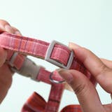 猫用ハーネス リード 2点セット | PlusNao | 詳細画像9 