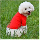 犬用ウェア 犬用シャツ ドックウェア | PlusNao | 詳細画像2 