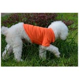 犬用ウェア 犬用シャツ ドックウェア | PlusNao | 詳細画像3 