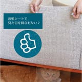 猫 爪とぎ 防止シート | PlusNao | 詳細画像11 