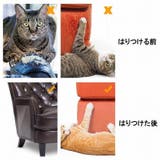 猫 爪とぎ 防止シート | PlusNao | 詳細画像3 