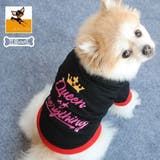 ペット服 Tシャツ 犬 | PlusNao | 詳細画像1