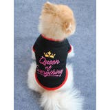 ペット服 Tシャツ 犬 | PlusNao | 詳細画像3