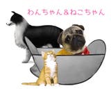 ペット用トリミングキャッチャー 犬 猫 | PlusNao | 詳細画像6