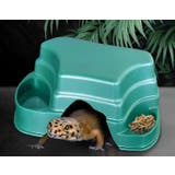 シェルター 隠れ家 爬虫類 | PlusNao | 詳細画像6 