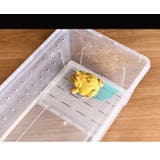 飼育ケージ 飼育ケース 両生類用 | PlusNao | 詳細画像5