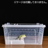浮島 両生類用 爬虫類 | PlusNao | 詳細画像2