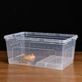 浮島 両生類用 爬虫類 | PlusNao | 詳細画像3