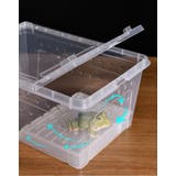 浮島 両生類用 爬虫類 | PlusNao | 詳細画像4