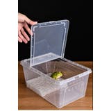 浮島 両生類用 爬虫類 | PlusNao | 詳細画像5