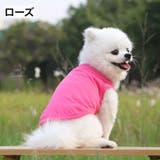 ペットウェア タンクトップ 犬服 | PlusNao | 詳細画像10 