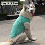 ペットウェア タンクトップ 犬服 | PlusNao | 詳細画像11 