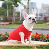 ペットウェア タンクトップ 犬服 | PlusNao | 詳細画像4 