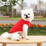 ペットウェア タンクトップ 犬服 | PlusNao | 詳細画像7 