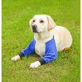 犬用サポーター ペット用 肘 | PlusNao | 詳細画像2 