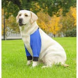 犬用サポーター ペット用 肘 | PlusNao | 詳細画像4 