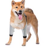 犬用サポーター ペット用 肘 | PlusNao | 詳細画像6 