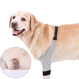 犬用サポーター ペット用 肘 | PlusNao | 詳細画像7 