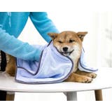 ペット用タオル 犬用タオル 猫用タオル | PlusNao | 詳細画像3