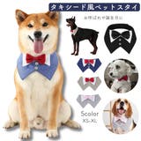 ペット用スタイ よだれかけ 付け襟 | PlusNao | 詳細画像1