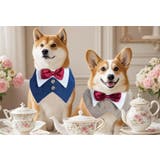 ペット用スタイ よだれかけ 付け襟 | PlusNao | 詳細画像6
