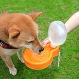 ペット用給水ボトル ウォーターボウル 給水器 | PlusNao | 詳細画像2 