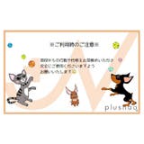 アイクリーナー ペット用 ソフトブラシ | PlusNao | 詳細画像14 