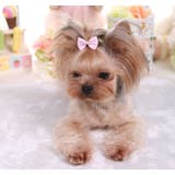 ペット用アクセサリー ヘアアクセ ヘアクリップ | PlusNao | 詳細画像4