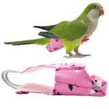鳥用オムツ 小鳥用 ペット用品 | PlusNao | 詳細画像2 