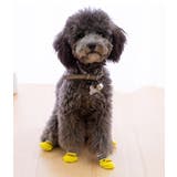 犬用靴下 4枚セット 1足分 | PlusNao | 詳細画像2