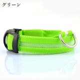 首輪 カラー 光る | PlusNao | 詳細画像12 