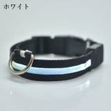 首輪 カラー 光る | PlusNao | 詳細画像16 