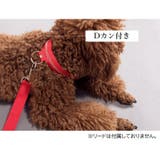 首輪 カラー 光る | PlusNao | 詳細画像3 