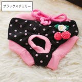 ペット用 犬用 サニタリーパンツ | PlusNao | 詳細画像16 