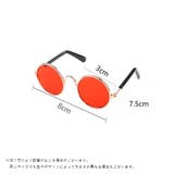 ペット用サングラス ペット用メガネ ペット用眼鏡 | PlusNao | 詳細画像18