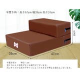 ペット用ステップ 階段 スロープ | PlusNao | 詳細画像18