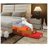 ペット用ステップ 階段 スロープ | PlusNao | 詳細画像6