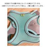 ハーネス リード 2点セット | PlusNao | 詳細画像14 