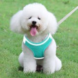 ハーネス リード 2点セット | PlusNao | 詳細画像2 