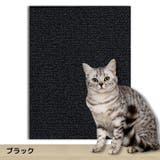 爪とぎシート 猫用 ペット用品 | PlusNao | 詳細画像15 