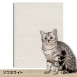 爪とぎシート 猫用 ペット用品 | PlusNao | 詳細画像16 