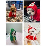 ドッグウエア ペット服 パーカー | PlusNao | 詳細画像3