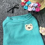 ペットウェア ドッグウェア キャットウェア | PlusNao | 詳細画像15 