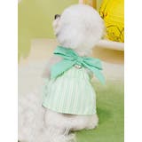 ドックウェア ペットウェア ワンピース | PlusNao | 詳細画像6 