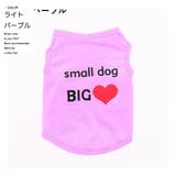ドッグウェア 犬服 犬用ウェア | PlusNao | 詳細画像10