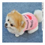 ドッグウェア 犬服 犬用ウェア | PlusNao | 詳細画像2